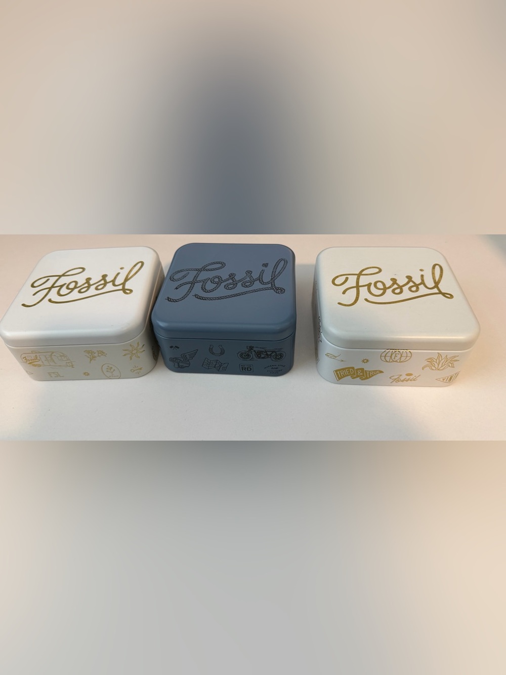 Fossil Trinket Tins ( 3 tins)